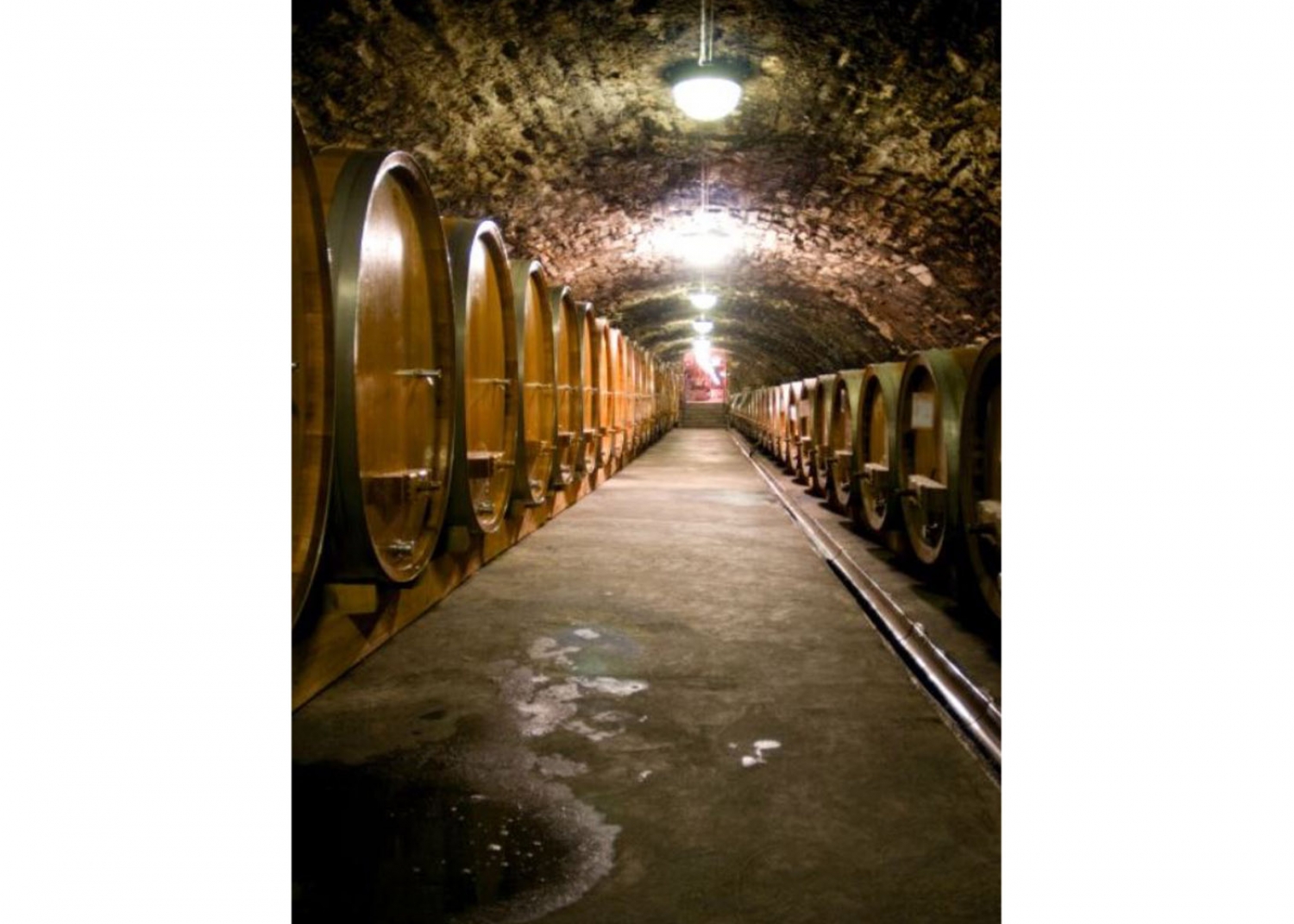 Winzergenossenschaft Mayscho&szlig;-Altenahr eG