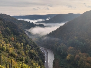 AhrEifelTouren|||